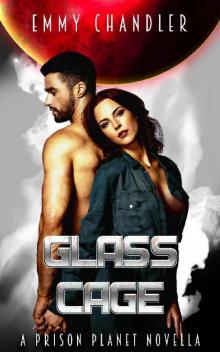 Glass Cage Read online