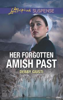 Her Forgotten Amish Past Read online