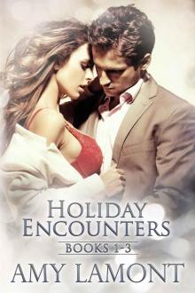 [Holiday Encounters 01.0 - 03.0] Boxed Set Read online