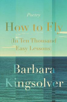 How to Fly (In Ten Thousand Easy Lessons) Read online