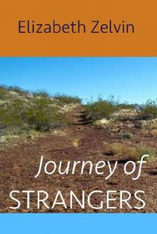 Journey of Strangers Read online