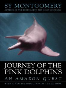 Journey of the Pink Dolphins Read online