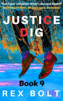 Justice Dig (Chris Seely Vigilante Justice Book 9) Read online