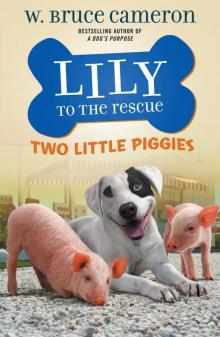 Lily to the Rescue: Two Little Piggies Read online