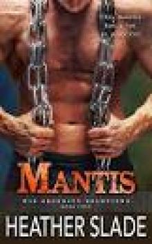 Mantis (K19 Security Solutions Book 4)