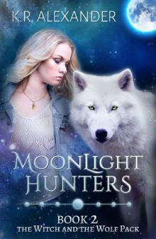 Moonlight Hunters: A Reverse Harem Shifter Romance (The Witch and the Wolf Pack Book 2) Read online