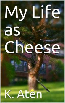 My Life as Cheese Read online