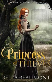 Princess of Thieves Read online