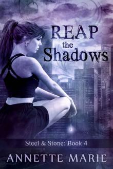 Reap the Shadows (Steel & Stone Book 4) Read online