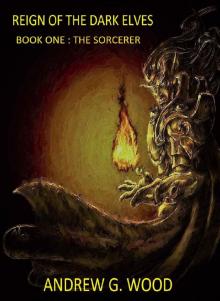 Reign of the Dark Elves: Book One : The Sorcerer Read online