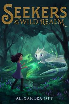 Seekers of the Wild Realm Read online