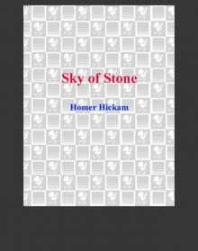 Sky of Stone Read online