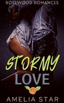 Stormy Love Read online
