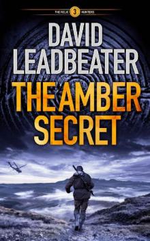 The Amber Secret Read online