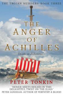 The Anger of Achilles Read online