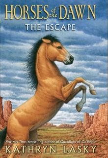 The Escape Read online