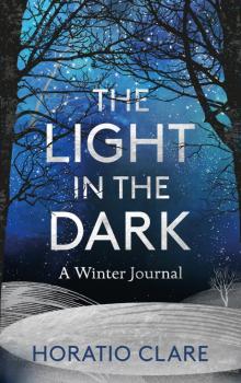 The Light in the Dark Read online