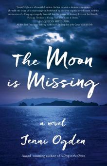 The Moon is Missing: a novel Read online
