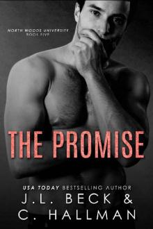 The Promise: A Secret Baby Romance (North Woods Universtiy Book 5)