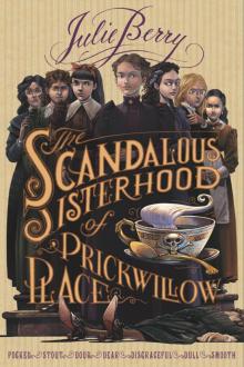 The Scandalous Sisterhood of Prickwillow Place Read online