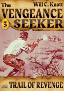 The Vengeance Seeker 3 Read online
