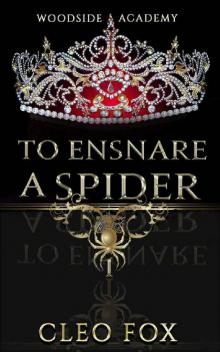 To Ensnare a Spider: A Contemporary Revenge Reverse Harem (Woodside Academy Book 1) Read online
