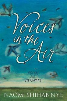 Voices in the Air Read online