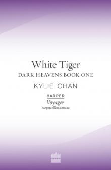 White Tiger Read online