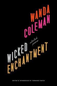 Wicked Enchantment Read online