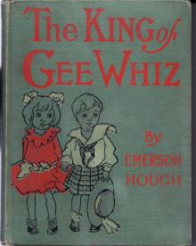 The King of Gee-Whiz Read online