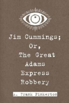 Jim Cummings; Or, The Great Adams Express Robbery Read online