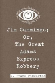 Jim Cummings; Or, The Great Adams Express Robbery