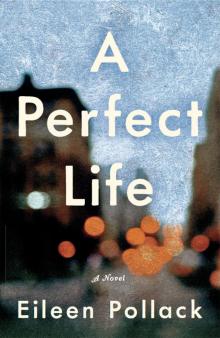 A Perfect Life Read online