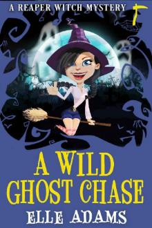 A Wild Ghost Chase Read online