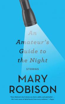 An Amateur's Guide to the Night Read online
