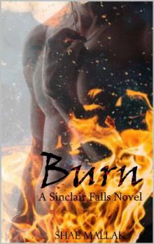 Burn (The Sinclair Falls Novels Book 1) Read online