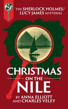 Christmas on the Nile Read online