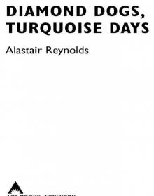 Diamond Dogs, Turquoise Days Read online