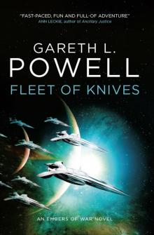 Fleet of Knives Read online