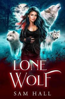 Lone Wolf: A Rejected Mates Wolf Shifter Romance (Reach for the Moon Book 1) Read online