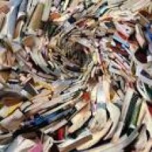 M E Bronstein - [BCS284 S02] - Elegy of a Lanthornist (html)