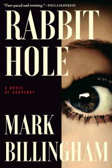 Rabbit Hole Read online