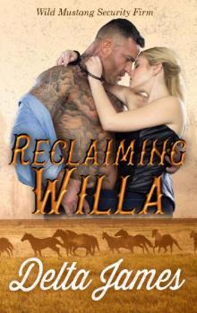 Reclaiming Willa Read online