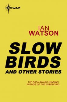 Slow Birds: And Other Stories Read online