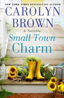 Small Town Charm Read online