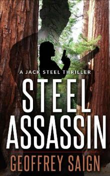 Steel Assassin Read online