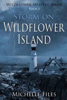 Storm on Wildflower Island Read online