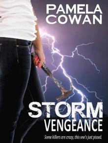 Storm Vengeance Read online