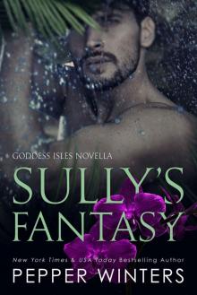 Sully's Fantasy (Goddess Isles Book 6) Read online