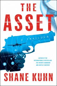 The Asset Read online